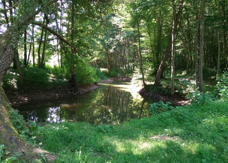 Follow the educational nature trail through the Pré Bourbeaux Forest