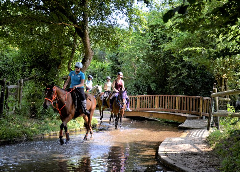 Riding stable of the Vièvre