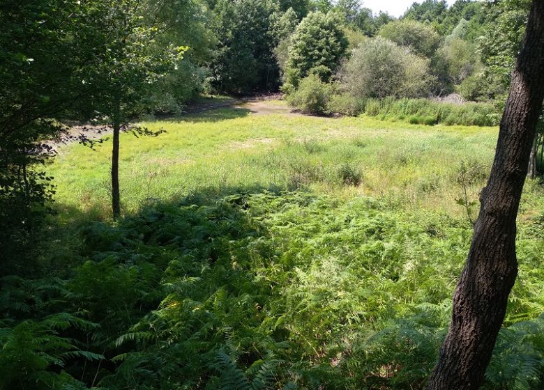 Follow the educational nature trail through the Pré Bourbeaux Forest