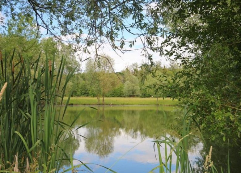 Gîte le four à pain du domaine des Buissonnets