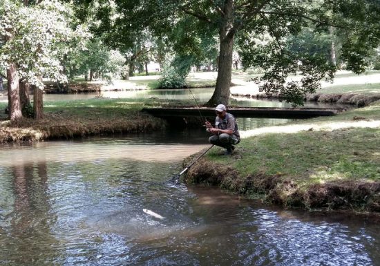 Fishing in Normandy, lakes and scenic rivers - Normandy Tourism, France